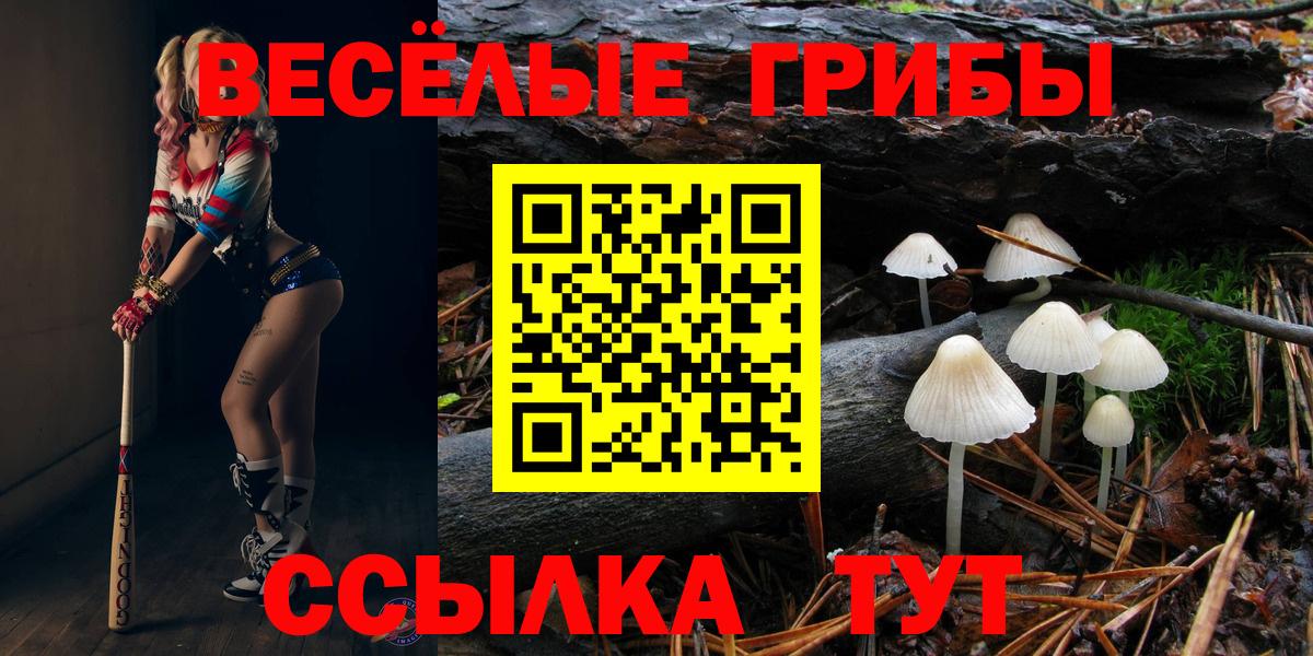Галлюциногенные грибы Cubensis  Вход с VPN  Ижевск 